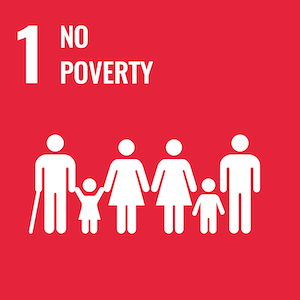UN Sustainable logo 1