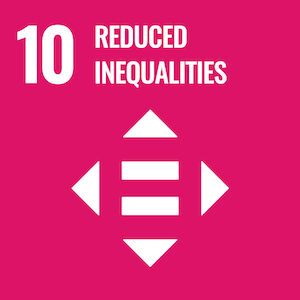 UN Sustainable logo 10