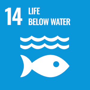 UN Sustainable logo 14