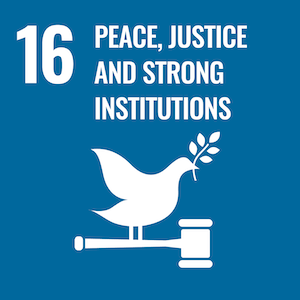 UN Sustainable logo 16