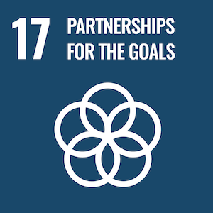 UN Sustainable logo 17