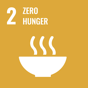 UN Sustainable logo 2