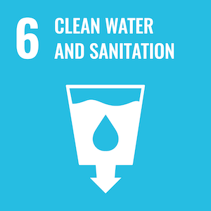 UN Sustainable logo 6