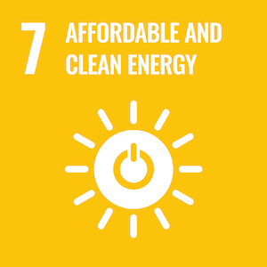 UN Sustainable logo 7