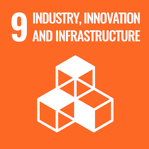 UN Sustainable logo 9